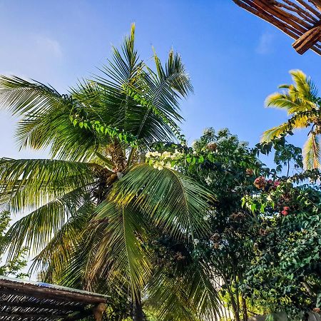 Deja Blue Hotel Paje Ngoại thất bức ảnh