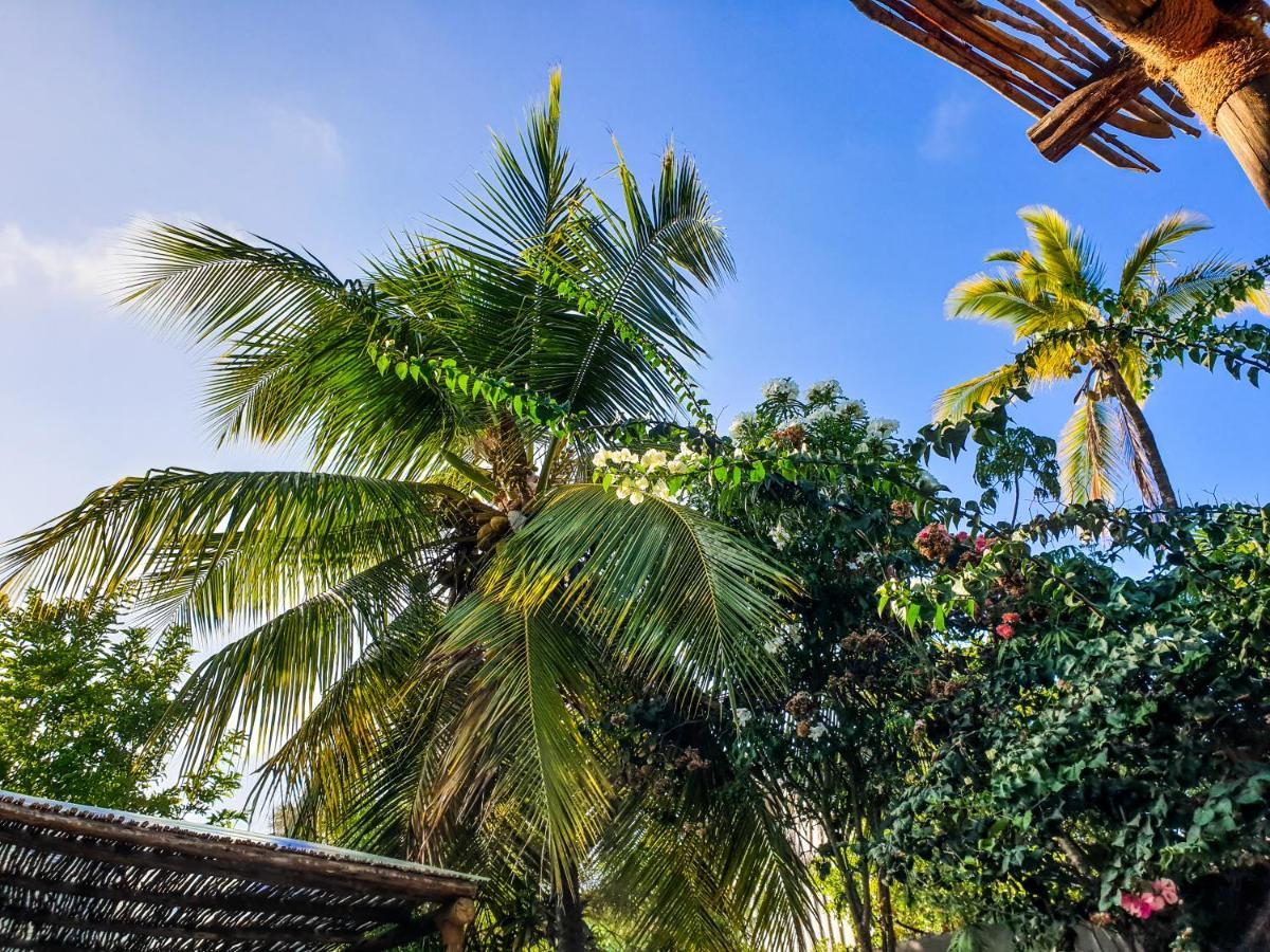 Deja Blue Hotel Paje Ngoại thất bức ảnh